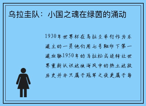 乌拉圭队：小国之魂在绿茵的涌动