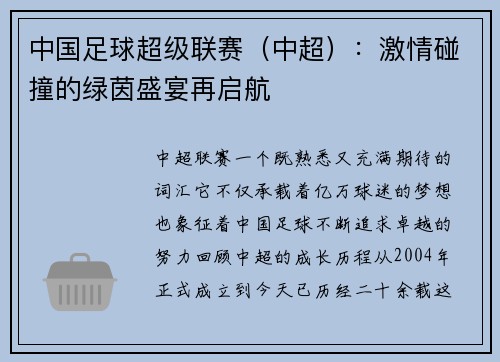 中国足球超级联赛（中超）：激情碰撞的绿茵盛宴再启航